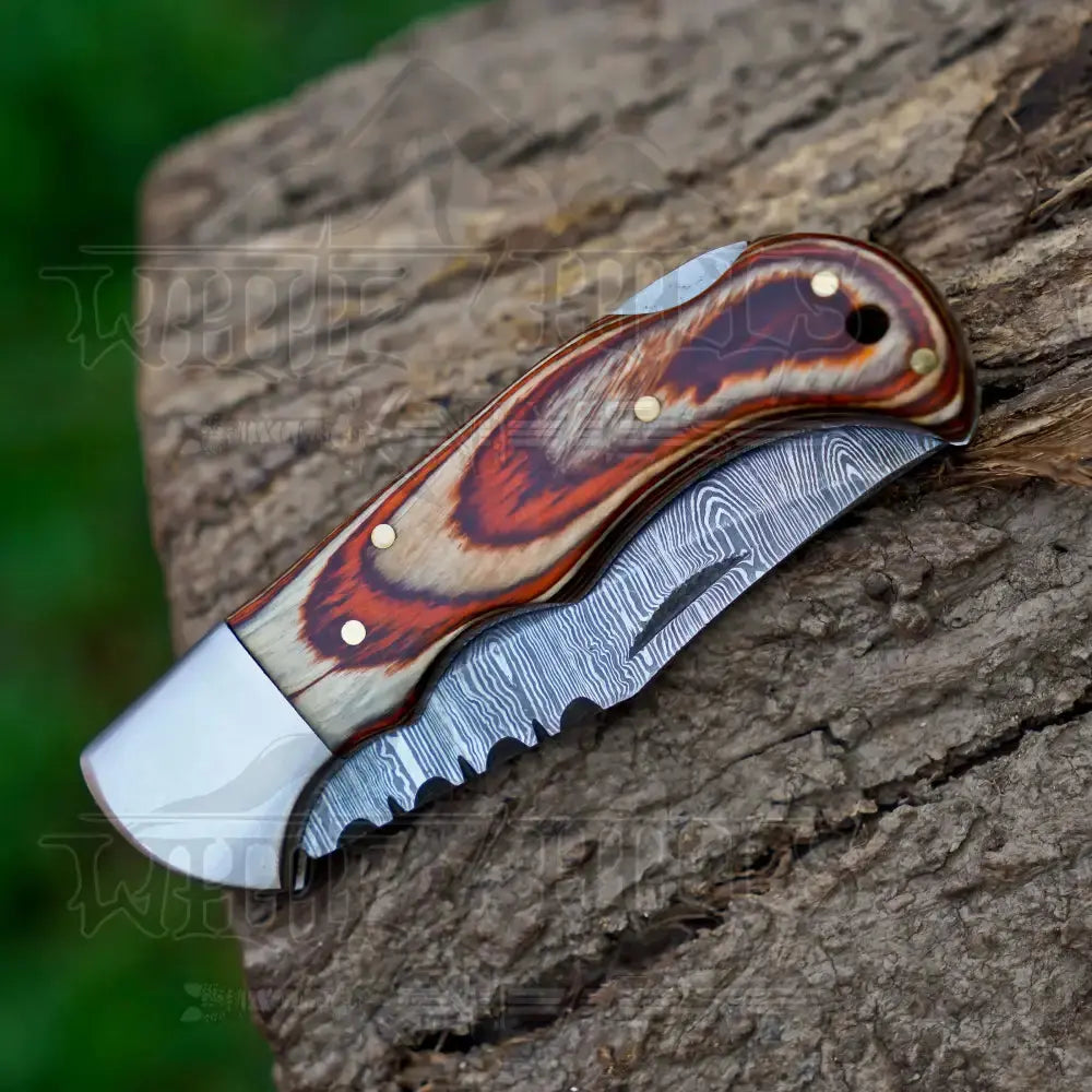 6.5" Handmade Damascus Pocket Knife with Pocket Clip - Pakka Wood Handle WH 5030-CP