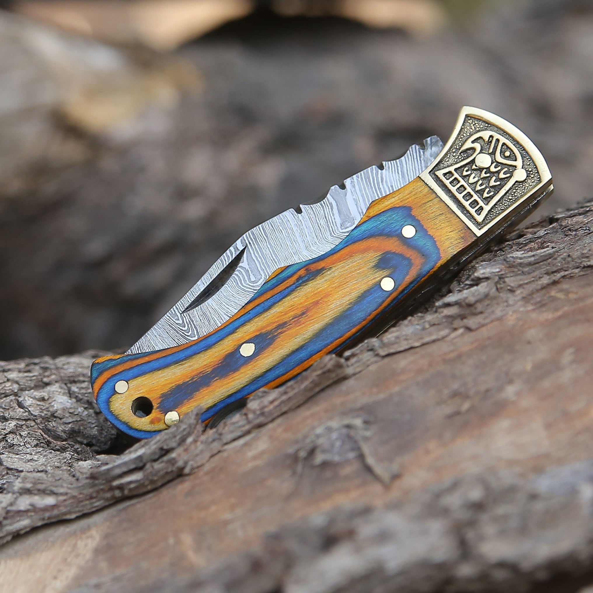 Customs Hand Made Damascus Steel Hunting Folding Knife Brass Bolster With Colored Wood Handle WH 2593