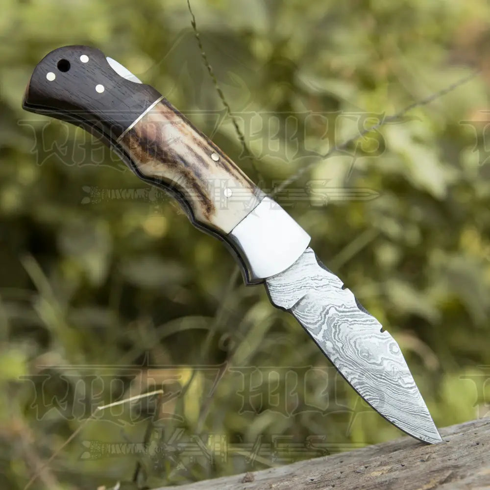 Handmade Forged Damascus Steel Hunting Camping Folding Pocket Knife With Stag Antler & Cocobolo Wood Steel Bolster Handle WH 3985